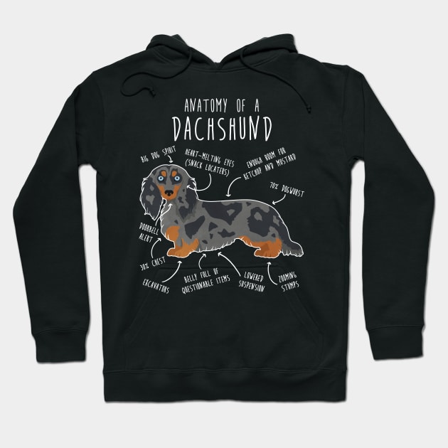 Blue Dapple Longhaired Dachshund Dog Anatomy Hoodie by Psitta